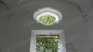 Fenêtre architecturale ancienne laissant apparaître une végétation dense à travers une ouverture sculptée, photographie d’architecture par François Bouthors.