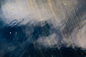 Reflets aquatiques et filaments lumineux sur une surface d’eau sombre, photographie impressionniste mettant en valeur textures et mouvements.