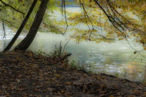 Reflets impressionnistes d’un sous-bois automnal sur l’eau, branches et feuilles filtrant la lumière — photographie impressionniste.