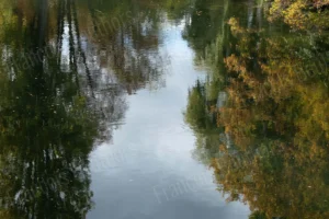 Reflets d’arbres d’automne dans l’eau, capturés en photographie impressionniste avec couleurs diffuses et textures mouvantes.