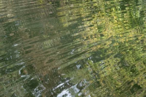 Reflets verts abstraits sur l’eau, capturés en photographie impressionniste avec des ondulations créant un effet pictural.