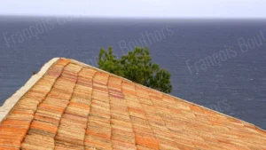 Toiture en tuiles anciennes dominant la mer, avec un pin en arrière-plan.